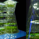 Illustration for article titled This is what farms will look like in the future